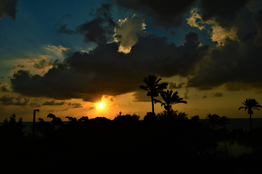 vibrant sunset video scene
